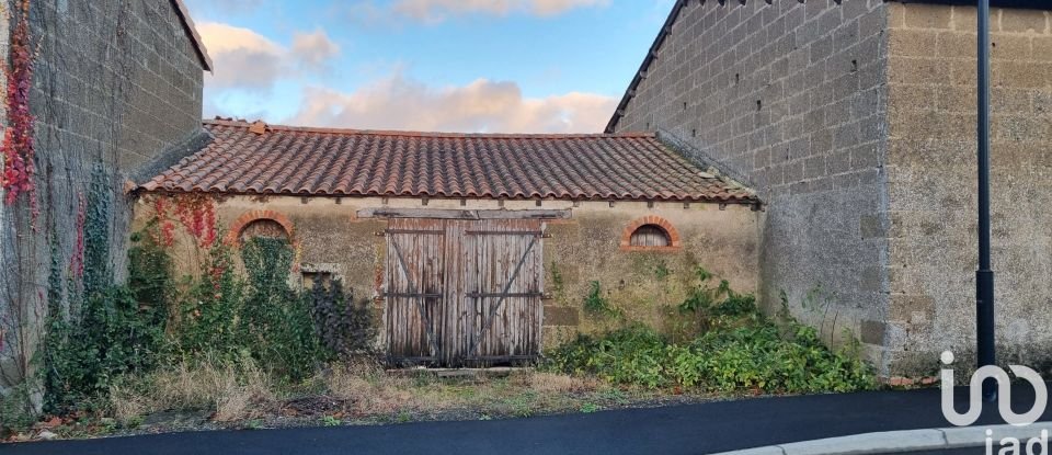 House 2 rooms of 54 m² in Cléré-sur-Layon (49560)