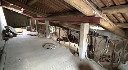 Barn conversion 1 room of 150 m² in Salles-d'Aude (11110)