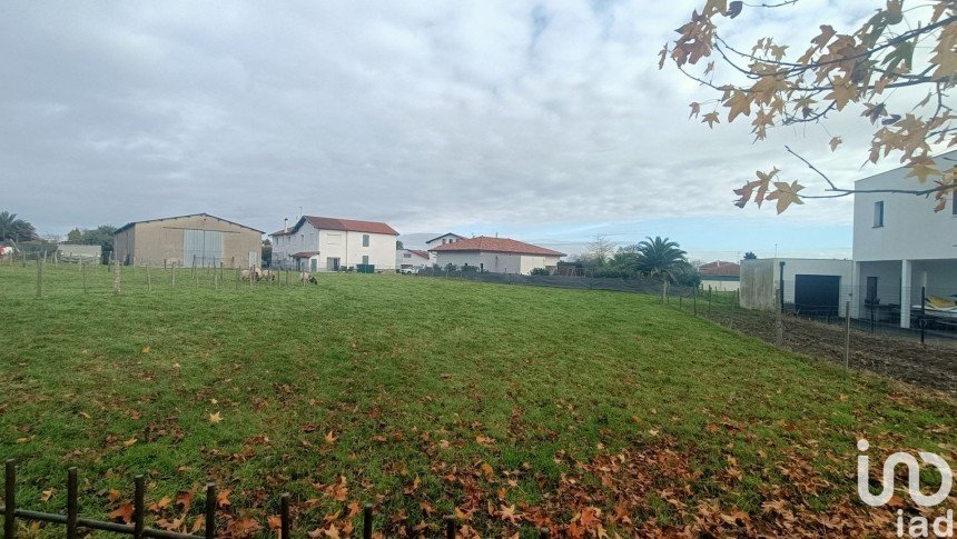 Terrain de 500 m² à Anglet (64600)