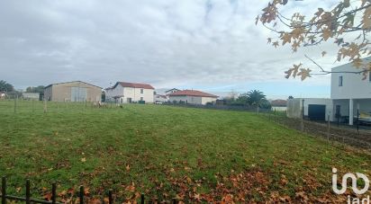 Terrain de 500 m² à Anglet (64600)