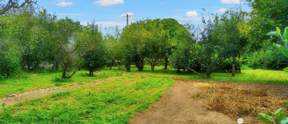 Terrain de 2 337 m² à Saint-Vougay (29440)