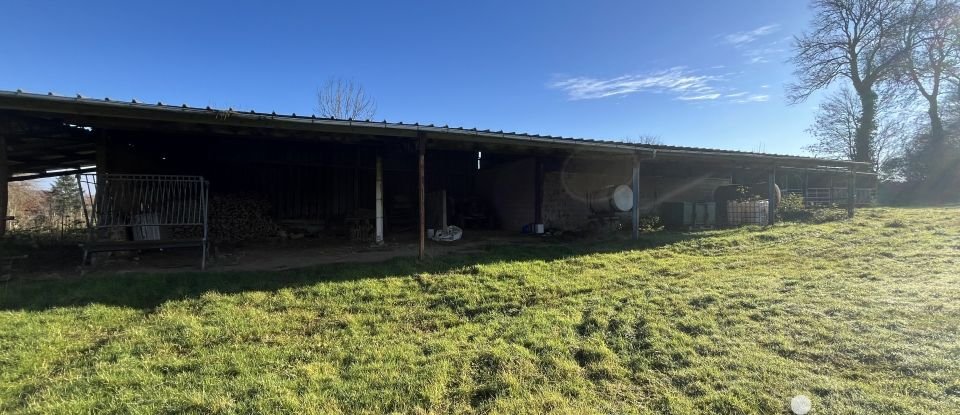 Maison 7 pièces de 132 m² à Rainfreville (76730)