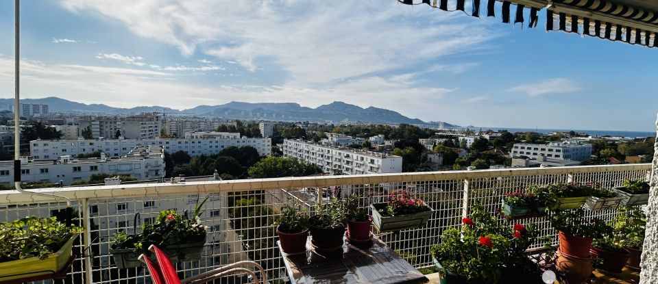 Appartement 3 pièces de 8 325 m² à Marseille (13008)