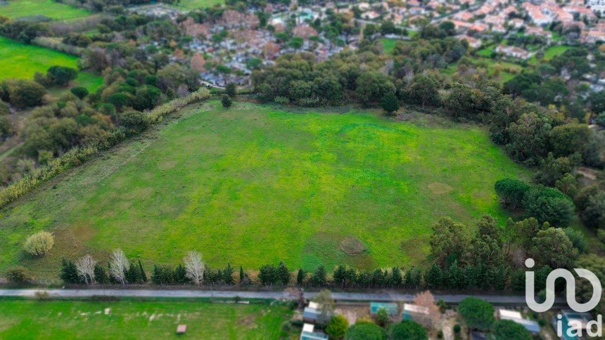 Terrain agricole de 42 595 m² à Argelès-sur-Mer (66700)