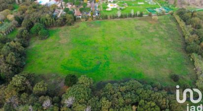 Farm land of 42,595 m² in Argelès-sur-Mer (66700)