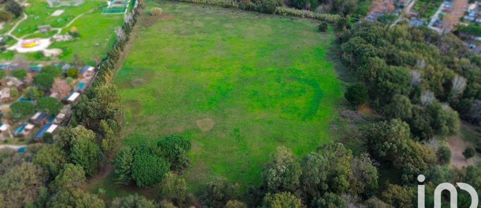 Terrain agricole de 42 595 m² à Argelès-sur-Mer (66700)