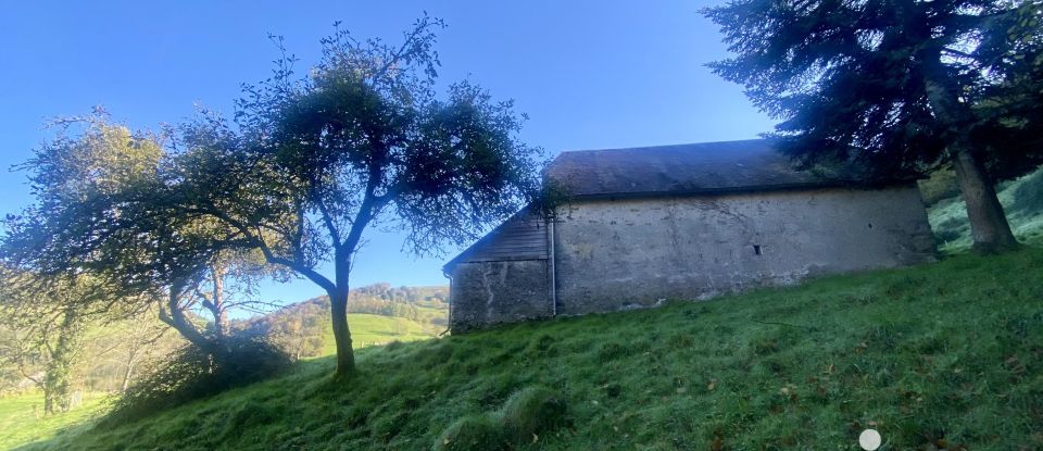 Terrain agricole de 15 270 m² à Banios (65200)