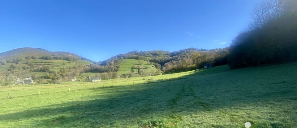 Terrain agricole de 15 270 m² à Banios (65200)