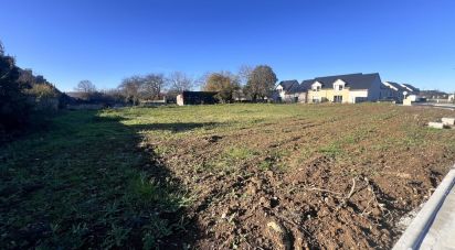 Terrain de 558 m² à Ibos (65420)