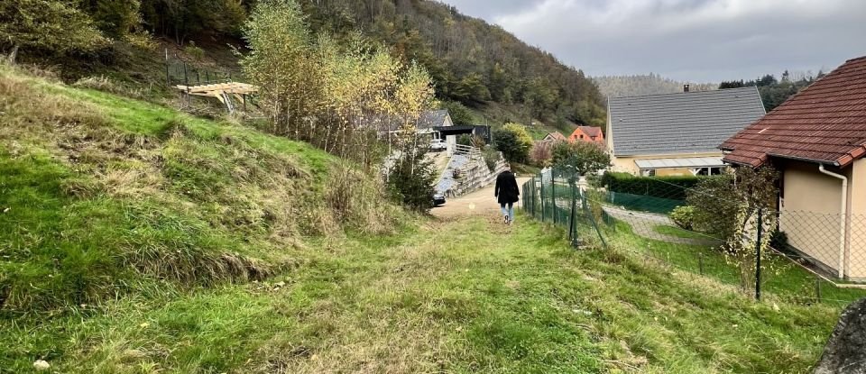 Terrain de 1 735 m² à Sainte-Marie-aux-Mines (68160)