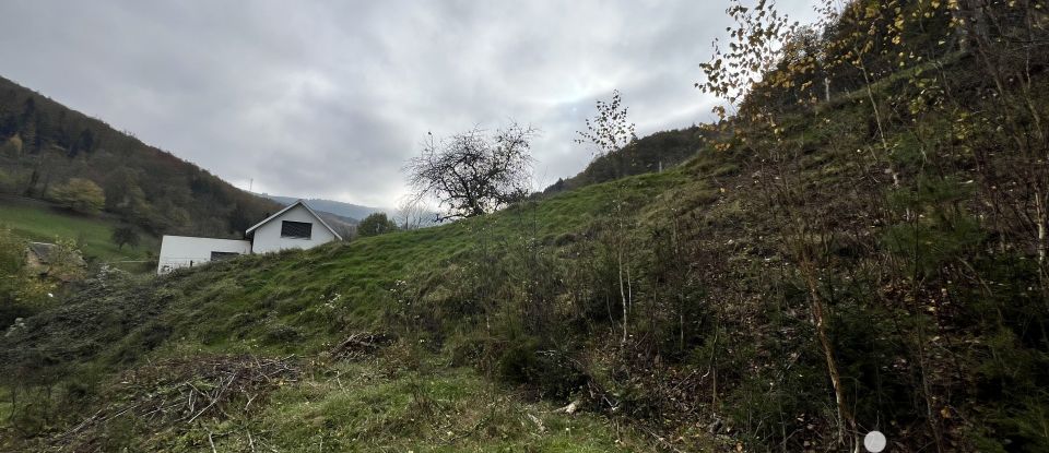 Terrain de 1 735 m² à Sainte-Marie-aux-Mines (68160)