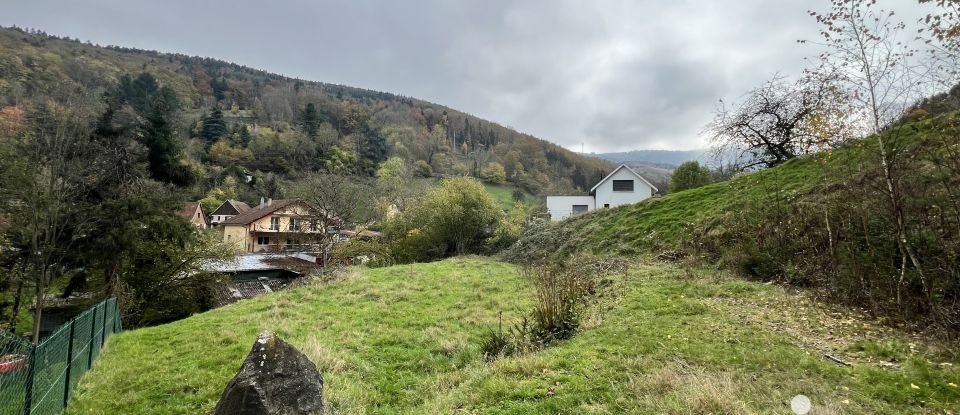 Terrain de 1 735 m² à Sainte-Marie-aux-Mines (68160)