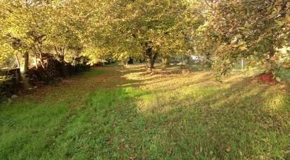 Leisure land of 1,600 m² in Cenon-sur-Vienne (86530)