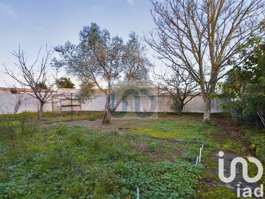 House 5 rooms of 100 m² in Sainte-Marie-de-Ré (17740)