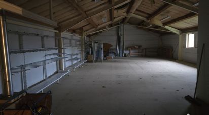 Local d'activités de 575 m² à Chambost-Longessaigne (69770)