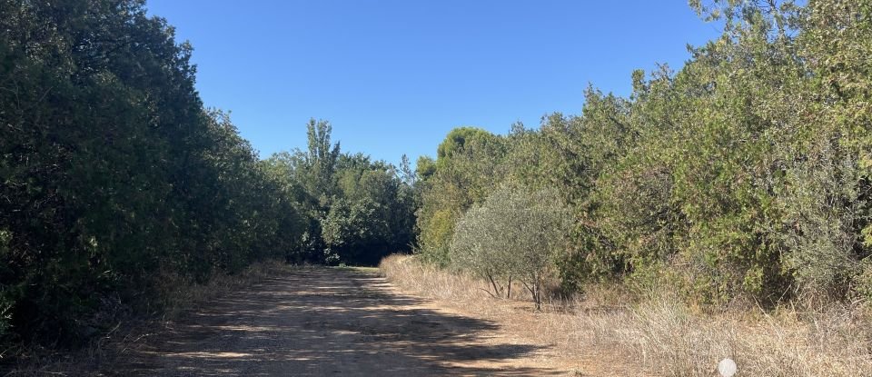 Maison de campagne 5 pièces de 185 m² à Berre-l'Étang (13130)