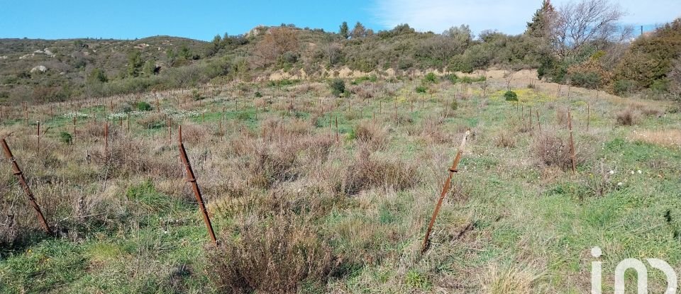 Terrain agricole de 176 771 m² à Péret (34800)