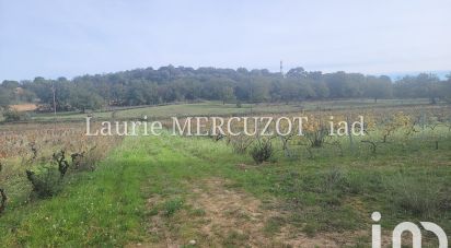 Agricultural land of 28,000 m² in Ortaffa (66560)