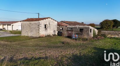 Barn conversion 4 rooms of 200 m² in Fontaines-d'Ozillac (17500)