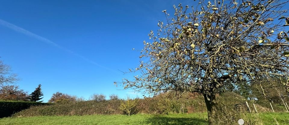 Maison de campagne 3 pièces de 180 m² à Guipry-Messac (35480)