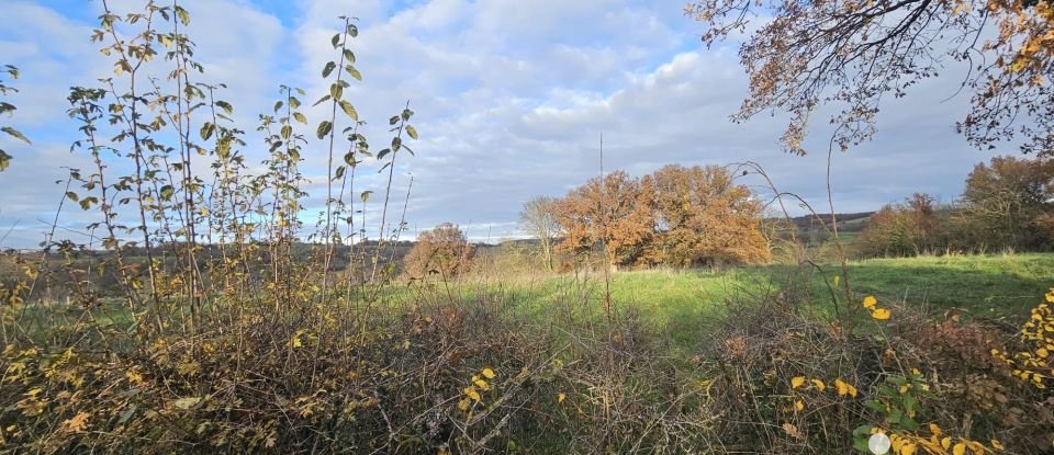 Land of 4,770 m² in Verneuil-en-Bourbonnais (03500)