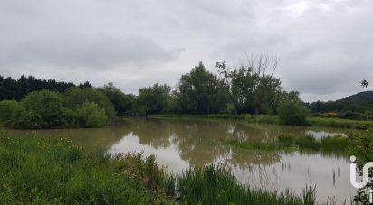 Farm land of 20,140 m² in Bort-l'Étang (63190)