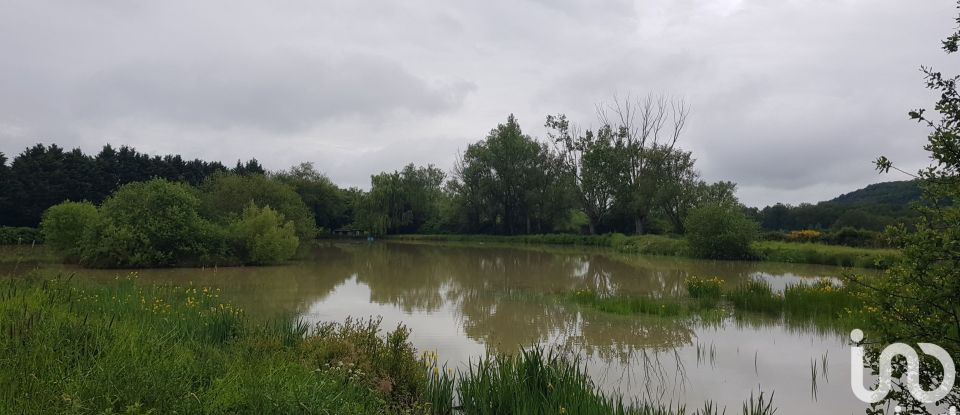 Terrain agricole de 20 140 m² à Bort-l'Étang (63190)