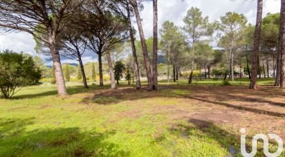 Land of 5,558 m² in Puget-sur-Argens (83480)