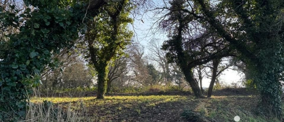 Maison de campagne 4 pièces de 134 m² à Locarn (22340)