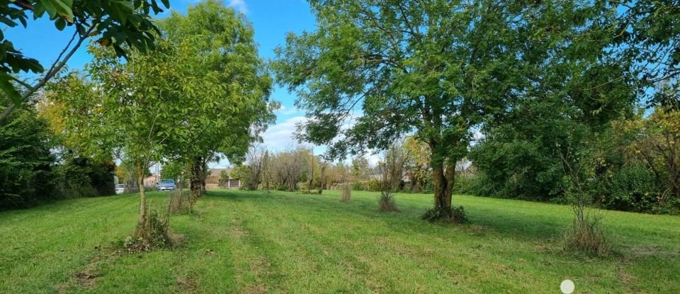 Terrain de 2 600 m² à Coussay (86110)