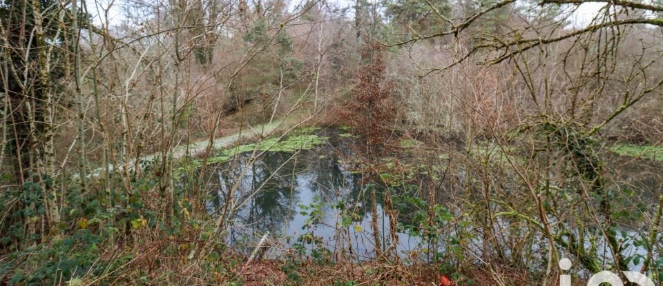 Terrain Loisirs de 20 475 m² à Soursac (19550)