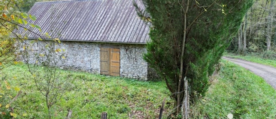 Barn conversion 1 room of 150 m² in Asasp-Arros (64660)