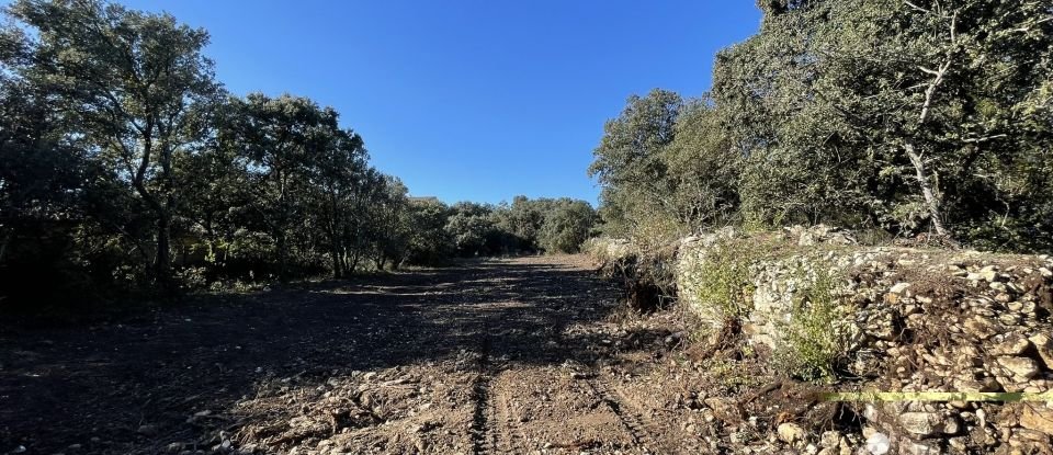 Terrain de 2 694 m² à Saint-Restitut (26130)