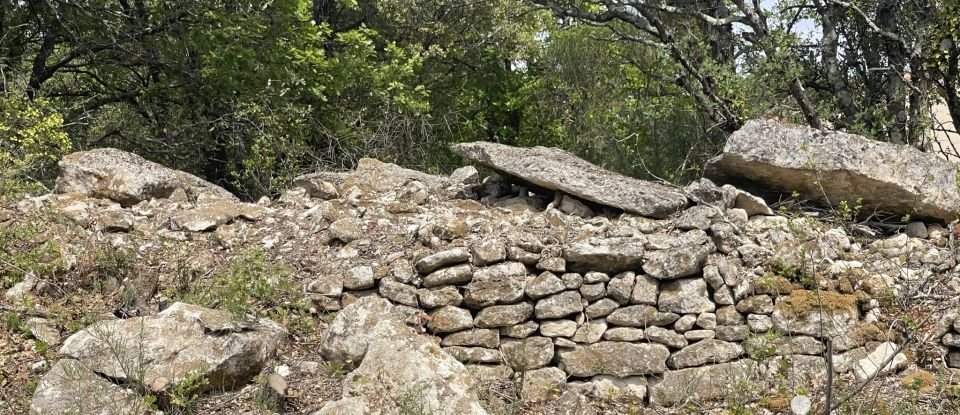 Terrain de 2 694 m² à Saint-Restitut (26130)