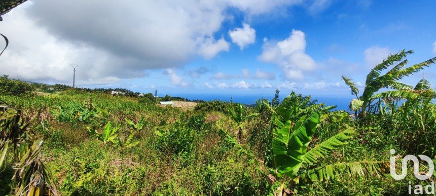 Terrain de 4 748 m² à Saint-Joseph (97480)