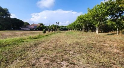 Land of 1,192 m² in Fréjus (83600)