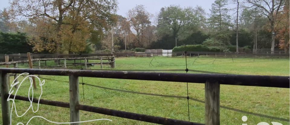 Equestrian facility 6 rooms of 150 m² in Montigny-sur-Loing (77690)