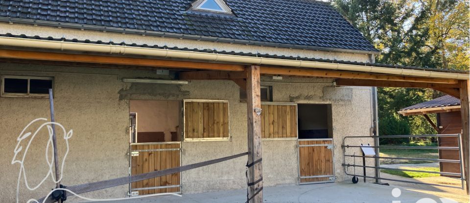 Equestrian facility 6 rooms of 150 m² in Montigny-sur-Loing (77690)