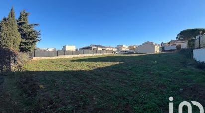 Land of 804 m² in Salles-d'Aude (11110)