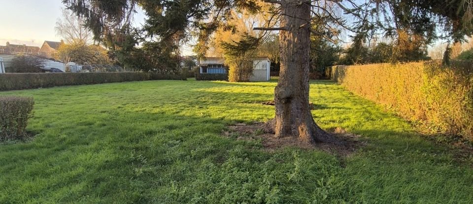 Maison de ville 6 pièces de 139 m² à Saint-Amand-les-Eaux (59230)