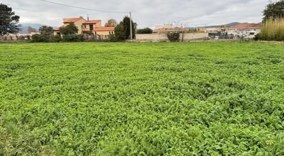 Terrain de 566 m² à Ille-sur-Têt (66130)