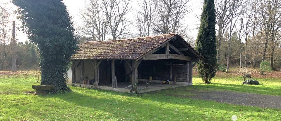 Maison traditionnelle 4 pièces de 173 m² à Labrit (40420)