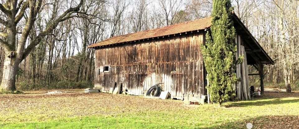 Maison traditionnelle 4 pièces de 173 m² à Labrit (40420)