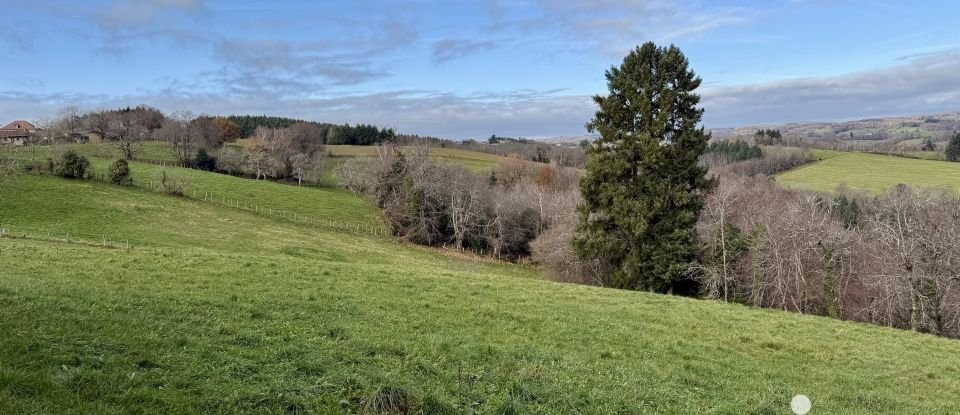 Maison traditionnelle 5 pièces de 89 m² à Sabadel-Latronquière (46210)