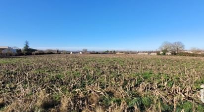 Land of 11,924 m² in Saint-Julien-de-l'Escap (17400)