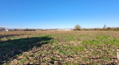 Land of 11,924 m² in Saint-Julien-de-l'Escap (17400)