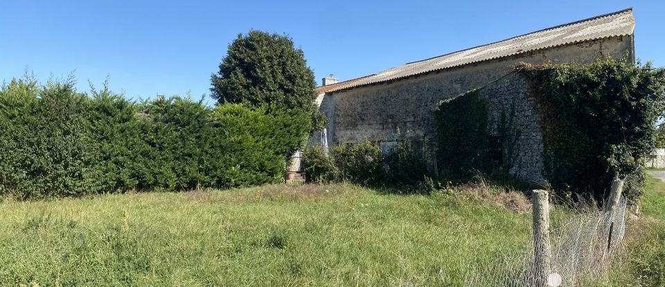 Barn conversion 3 rooms of 184 m² in Saint-Savinien (17350)