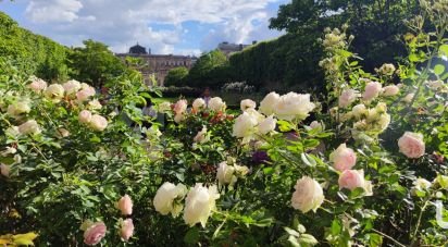 Apartment 1 room of 8 m² in Paris (75001)