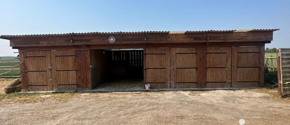 Equestrian facility 7 rooms of 190 m² in Houplines (59116)