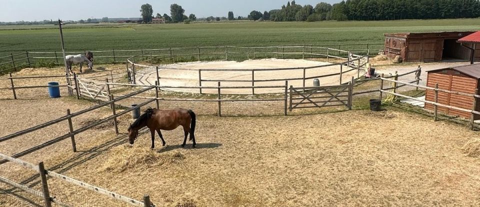 Equestrian facility 7 rooms of 190 m² in Houplines (59116)